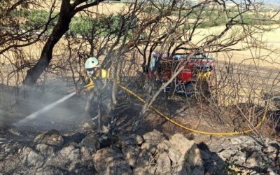 La chispa de una cosechadora quema un campo de cereal en Añorbe